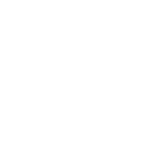 コーヒー豆の画像１