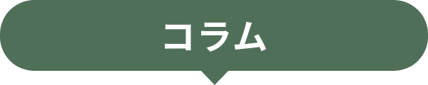 コラム
