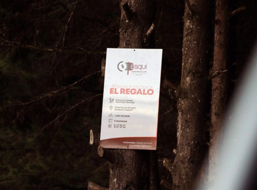 ようやく農園の看板が