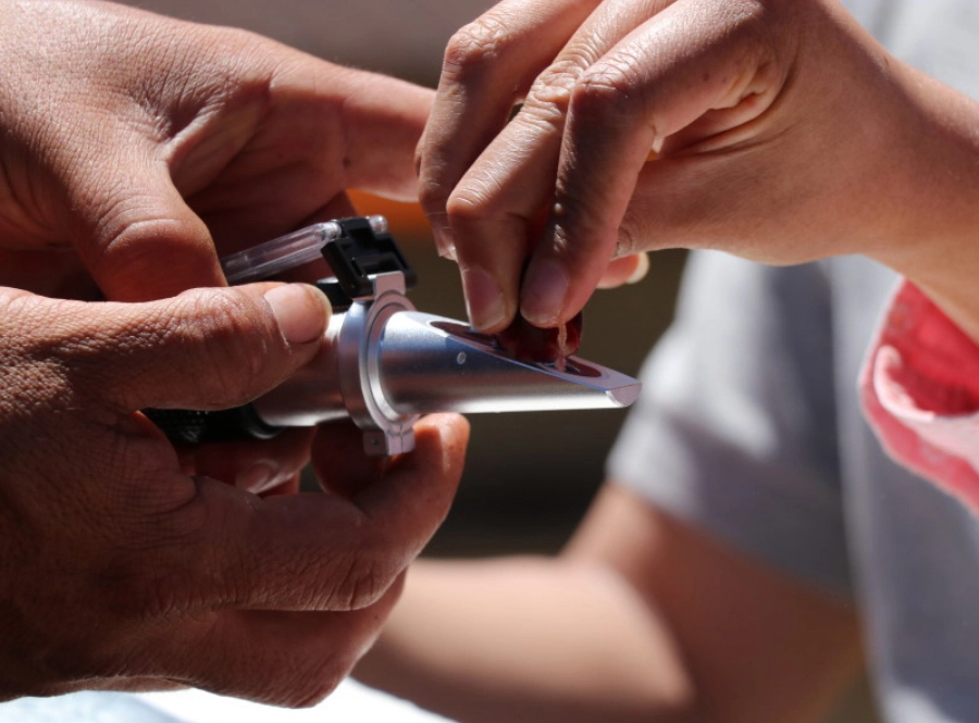 実の甘さを計っているところ