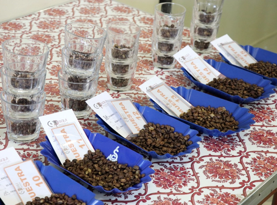 豆の情報を伏せて番号で識別