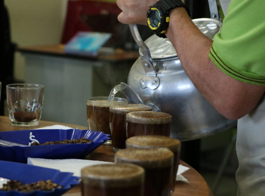 カッピングの様子