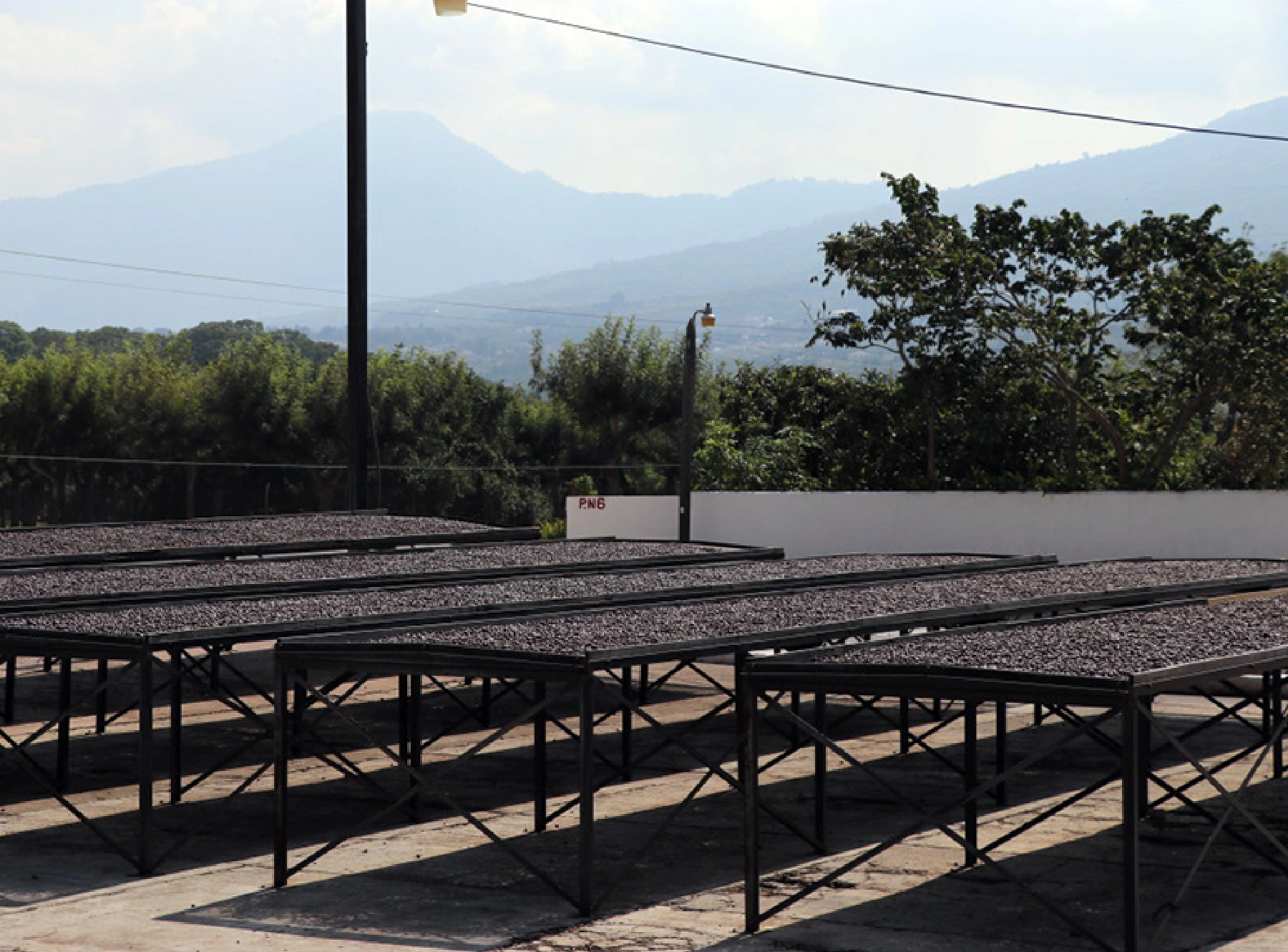 ナチュラルプロセスの様子