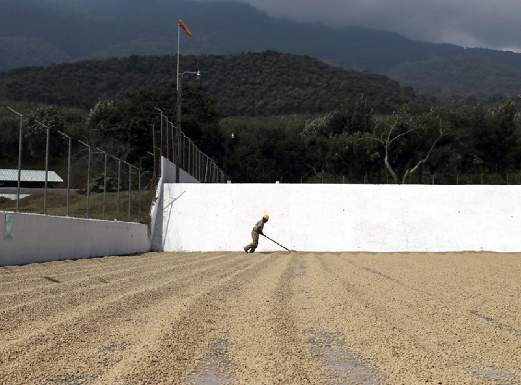 ウオッシュドプロセスの様子