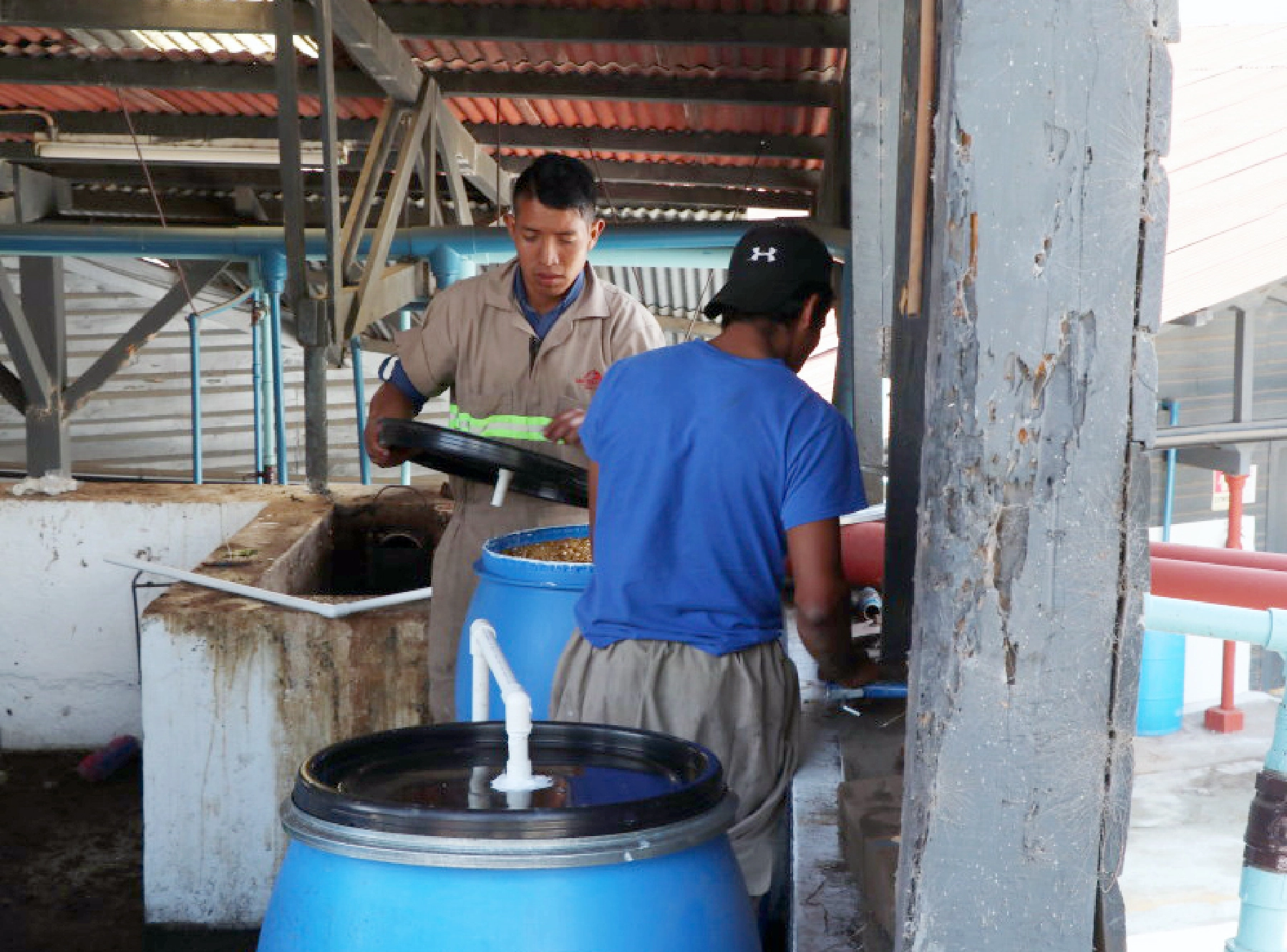 アナエロビックファーメーション