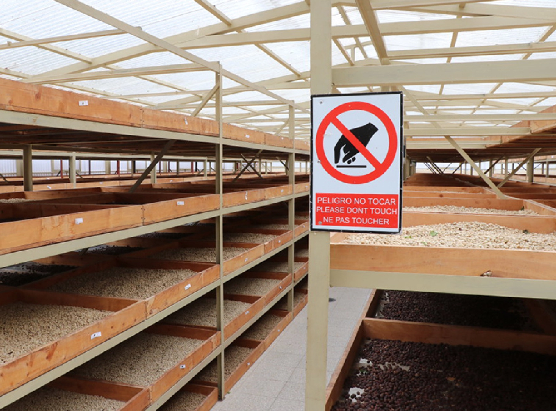 ビニールハウスの中