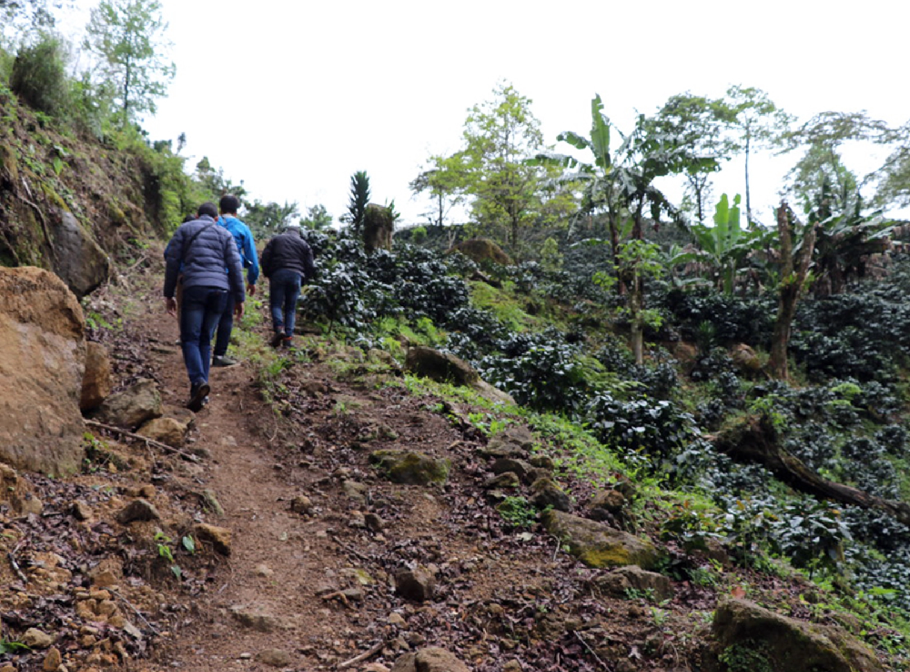 登山靴必須の山道の先に、農園がある