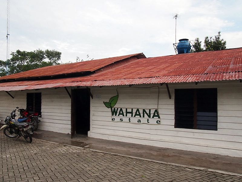 オーロラ農園に到着