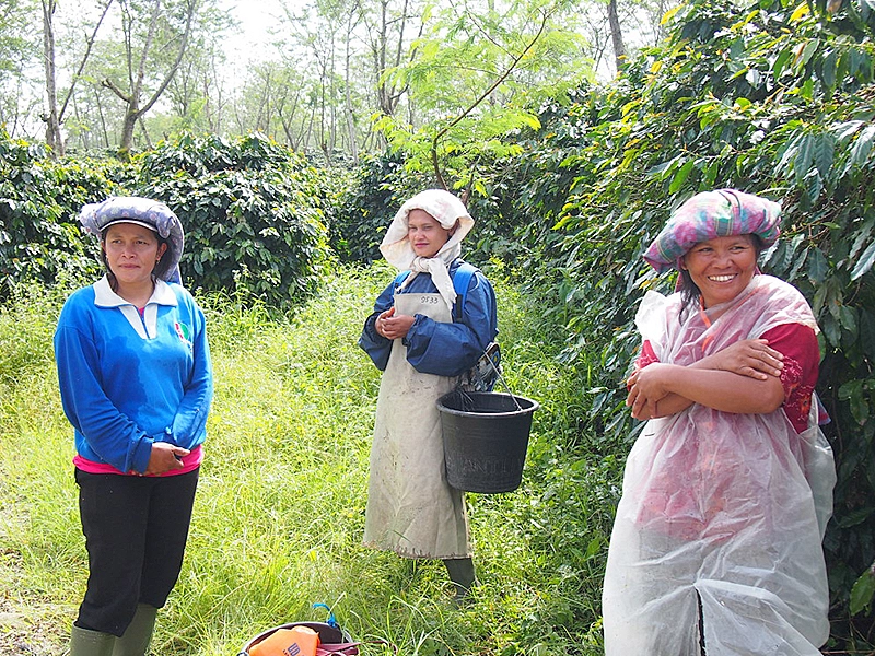 ステンレス製ウエットミル