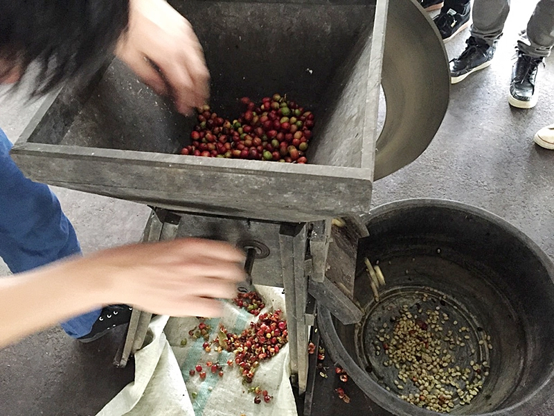 小さな農家さんの手動による処理