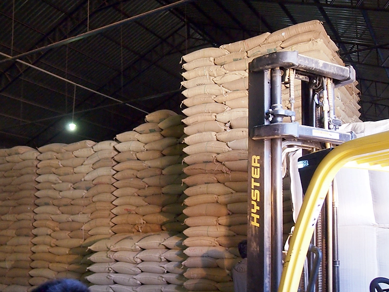 生豆を保管している巨大倉庫