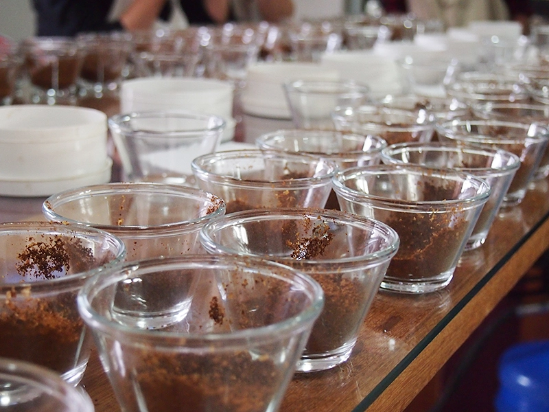 買い付ける豆を皆で選びます