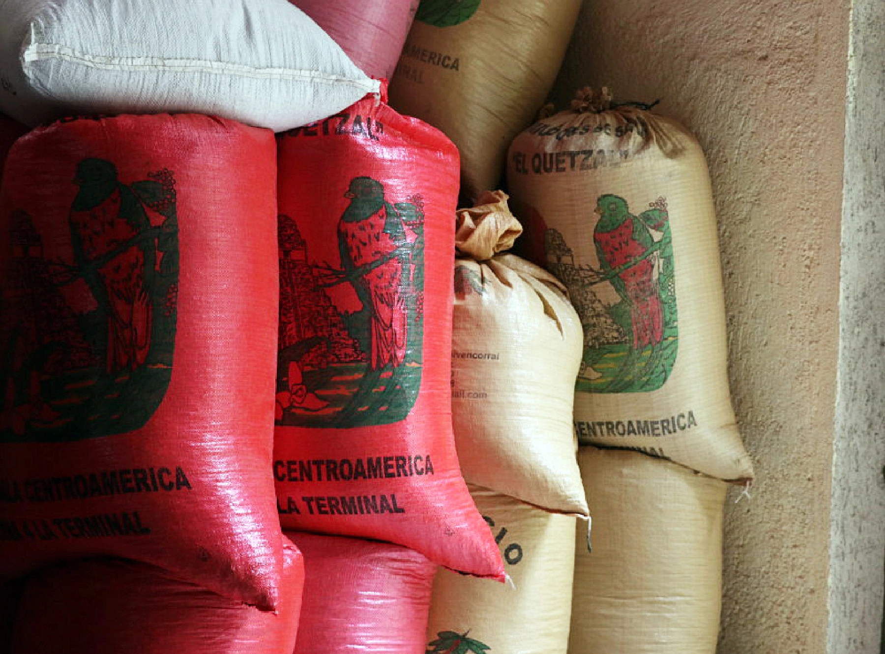 袋にケツァールのイラスト