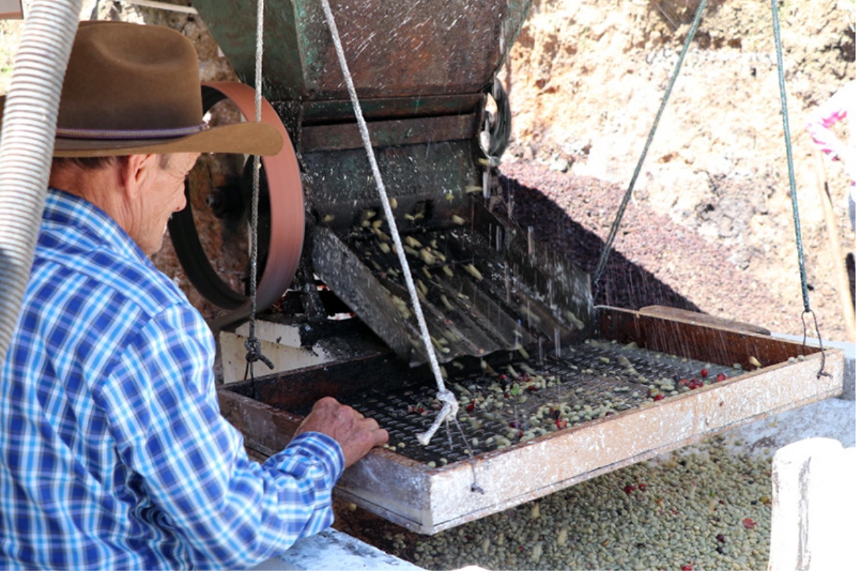 産地訪問中米編・グアテマラ①