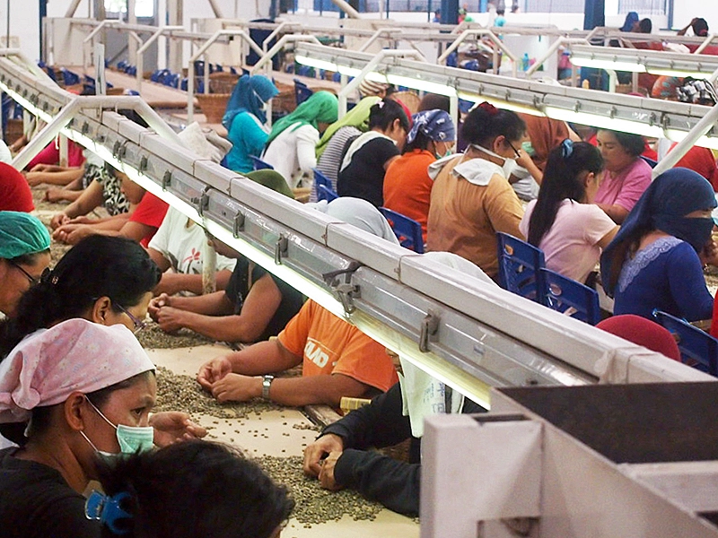 産地訪問インドネシア②